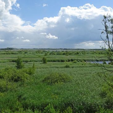 NP De Alde Feanen